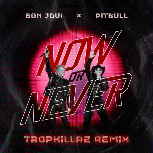Now Or Never (TropKillaz Remix)