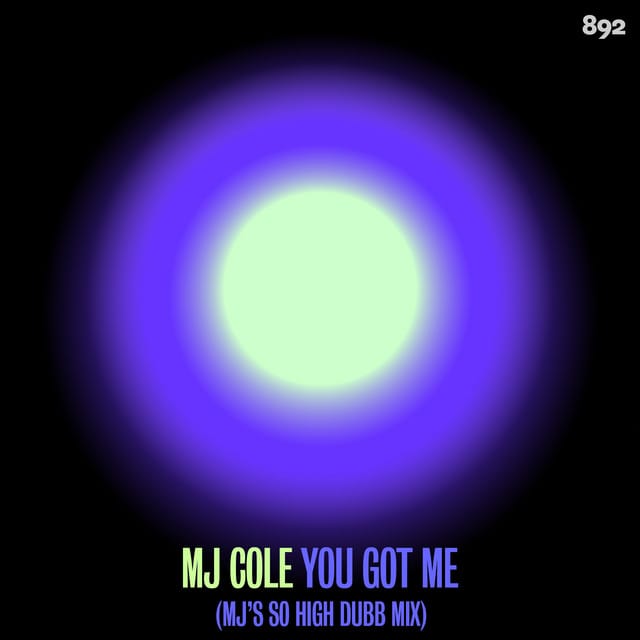 You Got Me (MJ's So High Dubb)