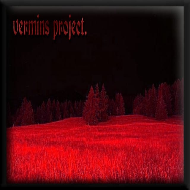 Vermins Project