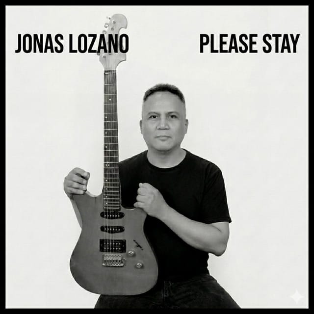 Please Stay - Single