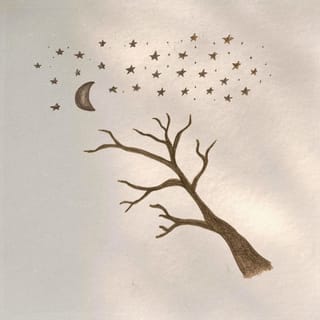 February Nights - Single