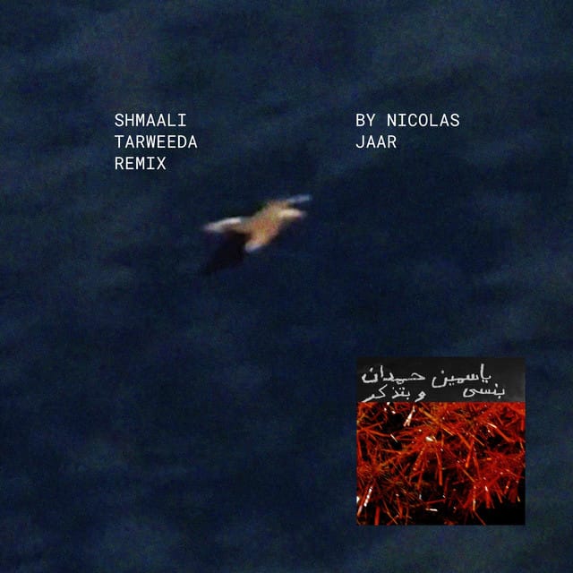Shmaali شمالي Tarweeda (Nicolas Jaar remix)