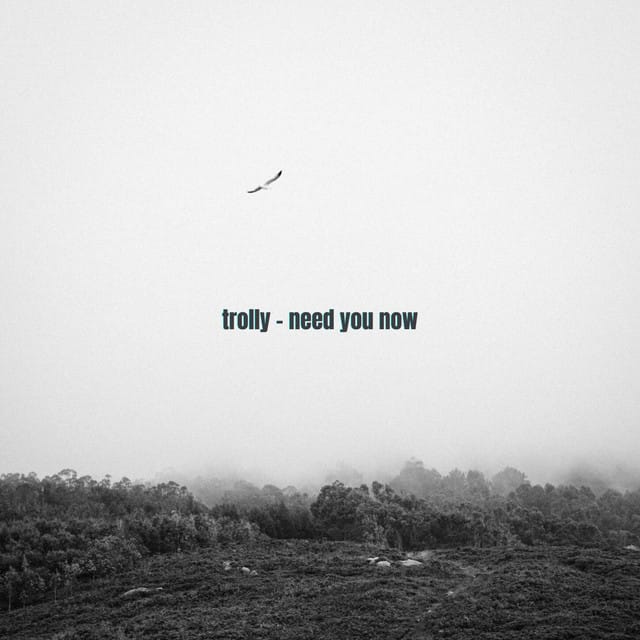 Need You Now (Acoustic) - Single
