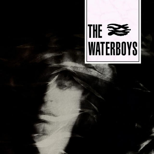 洋楽 THE WATERBOYS / 1985 (Deluxe Edition) The Waterboys / 1985 – SuperDeluxeEdition