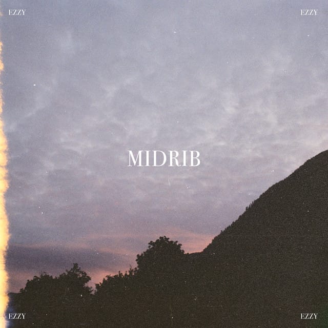 Midrib - Single
