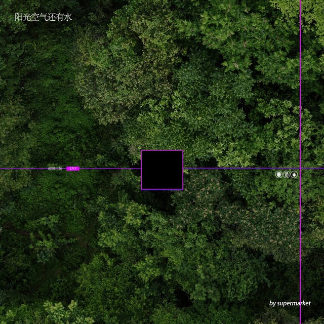 阳光，空气，还有水