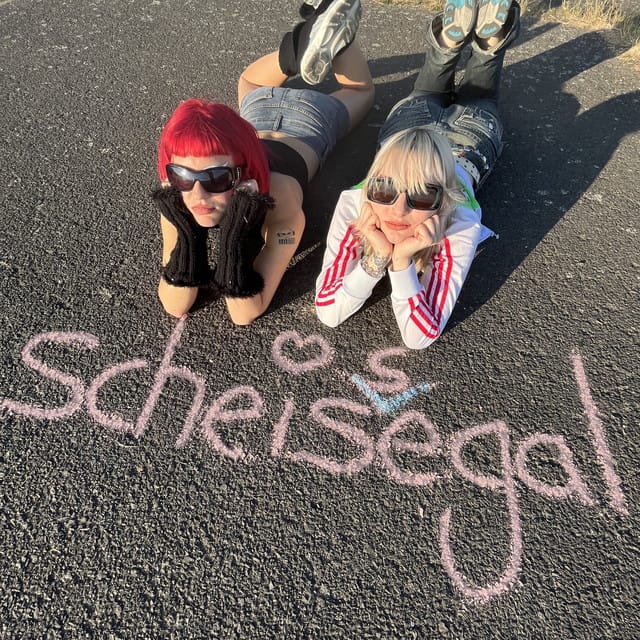 Scheissegal
