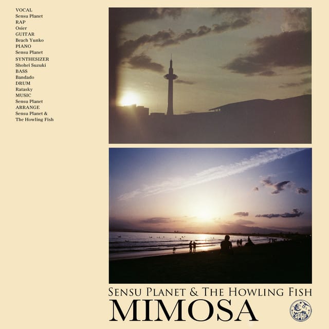 Mimosa