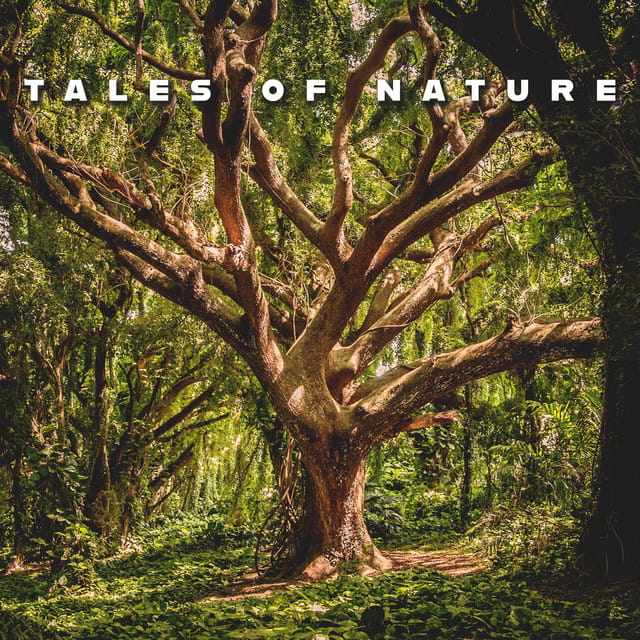 Tales Of Nature