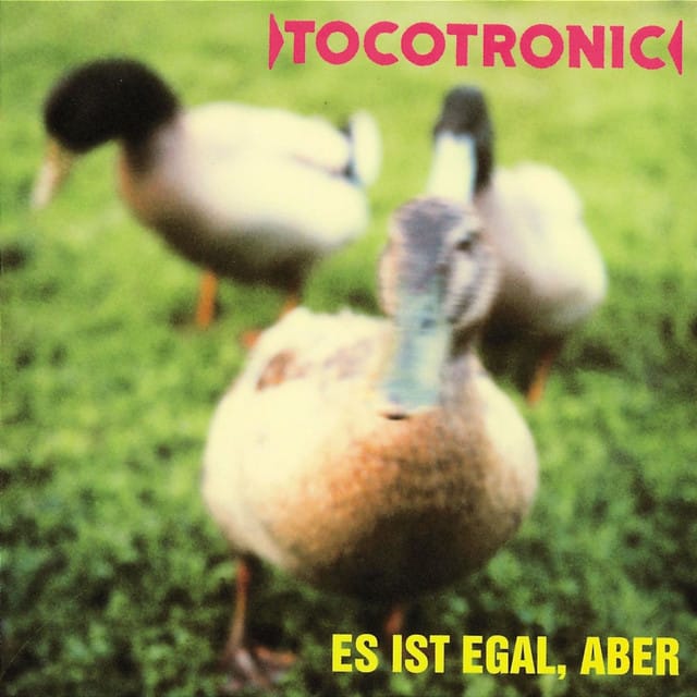 Dieses Jahr