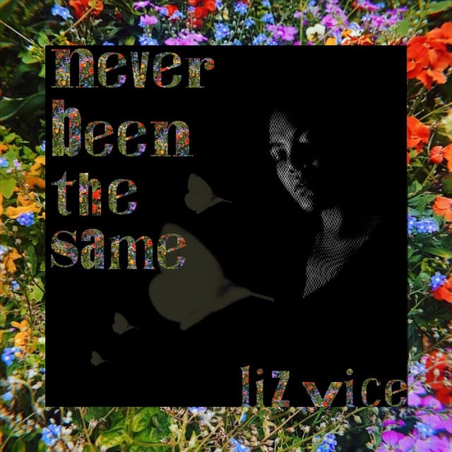 Never Been the Same - Single