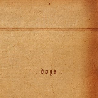 Dogs