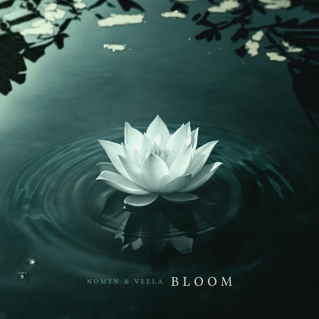 Bloom