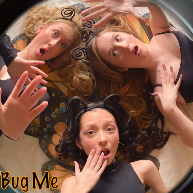 Bug Me - Single