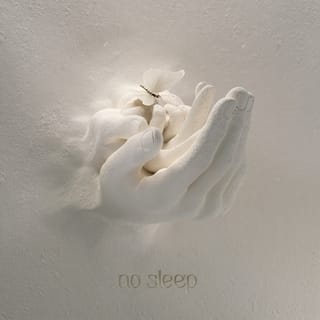 No Sleep