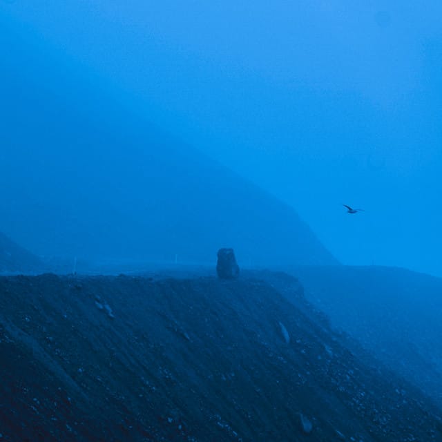 better alone - Single