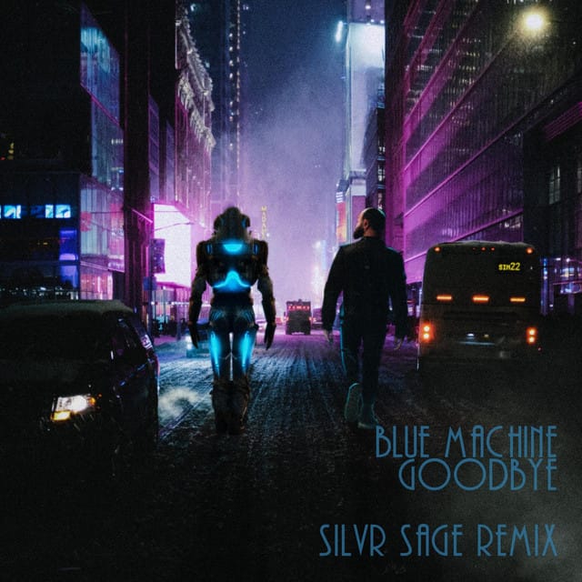 Goodbye (Silvr Sage Remix) - Single
