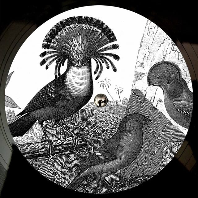 Anna Lunoe & Friends - EP
