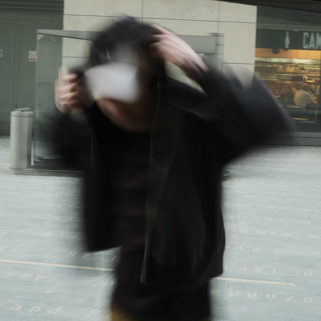 blackbird - Single