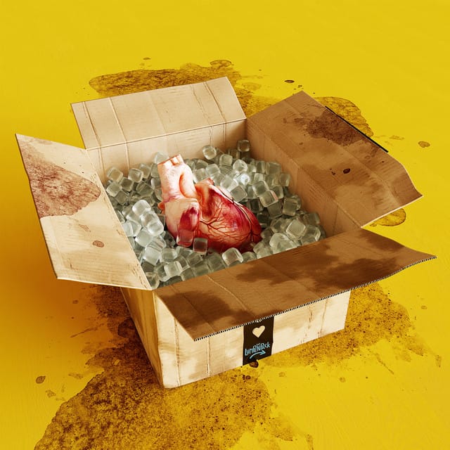 Die Liebe in Zeiten von Amazon Prime