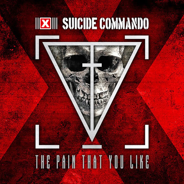 The Pain That You Like