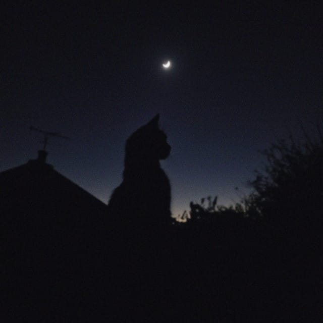 the night we met - Single