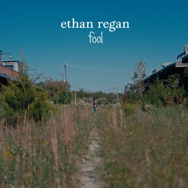 fool - Single
