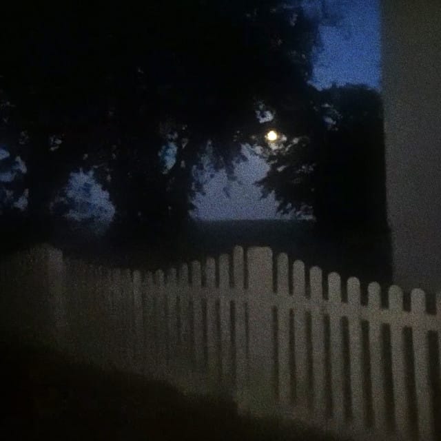 blurred moon - Single