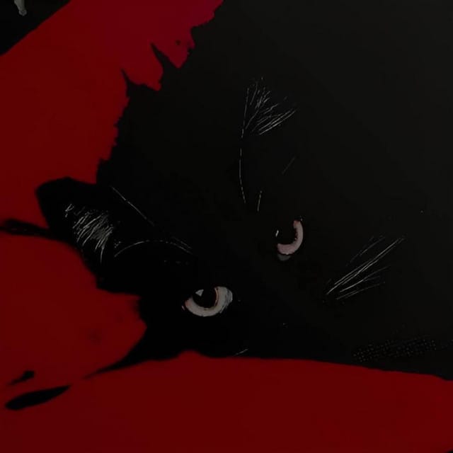 bleed