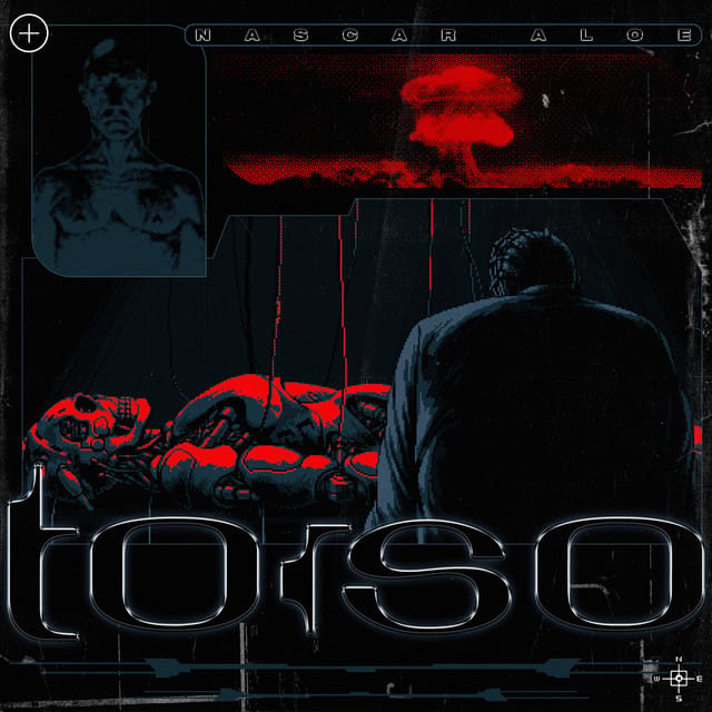 Torso