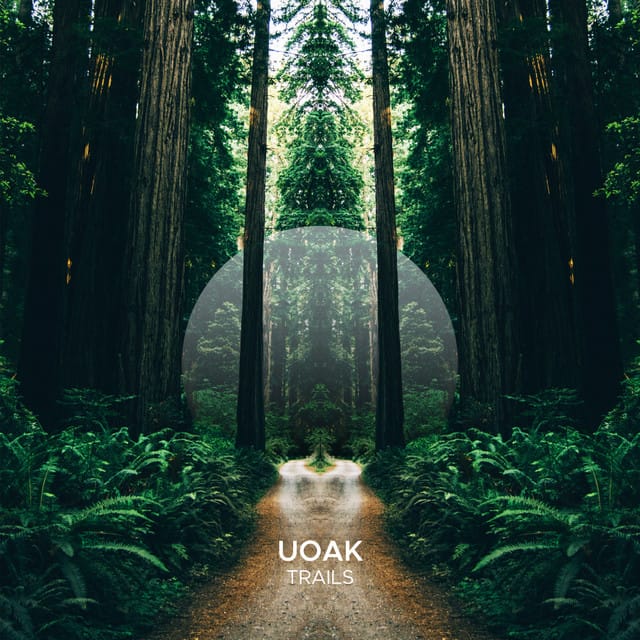 Trails (Extended Mix)