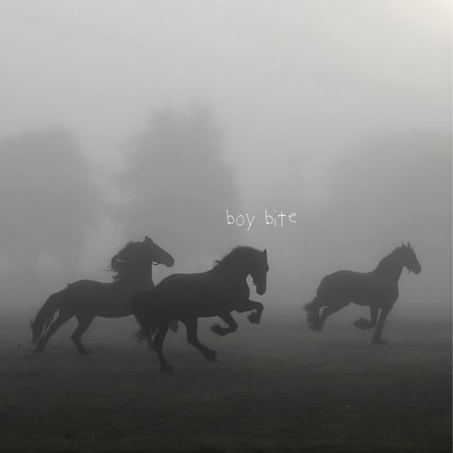 Boy Bite - Single