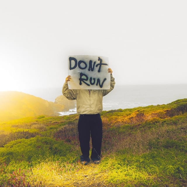 Don't Run - Single