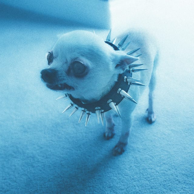 Wishbone