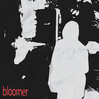 bloomer - Single