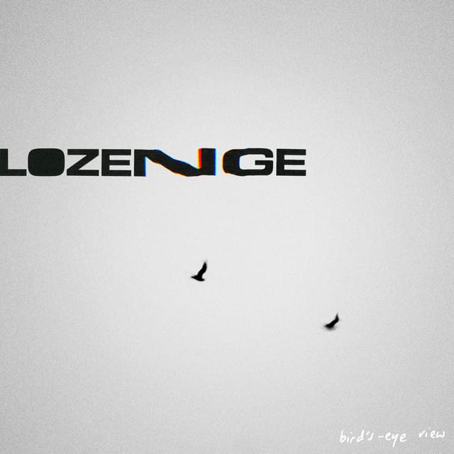 Bird’s-Eye View - Single