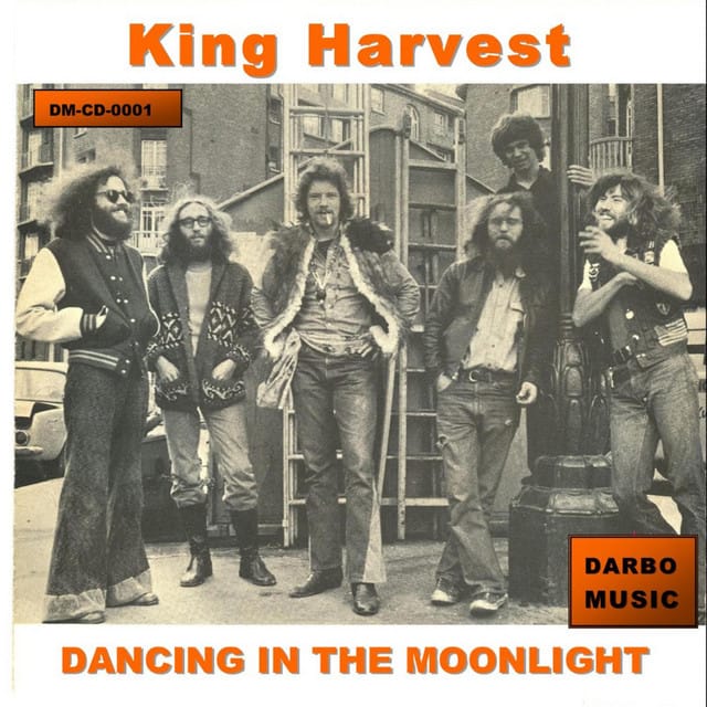 Dancing In the Moonlight - Single