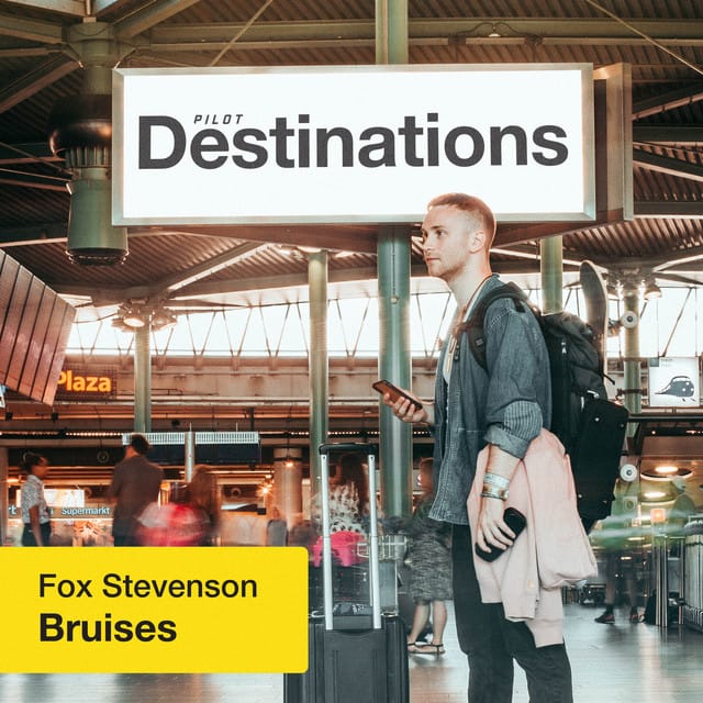 Bruises (Destinations) - Single