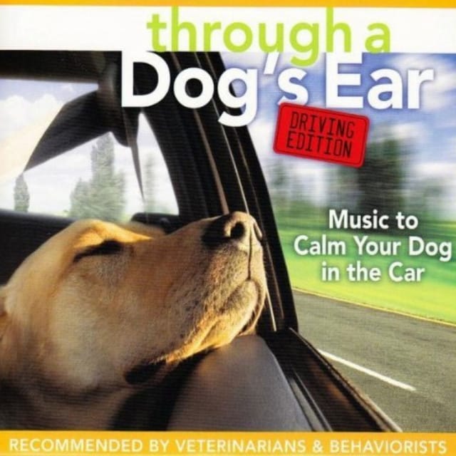 Through a Dog's Ear: Driving Edition