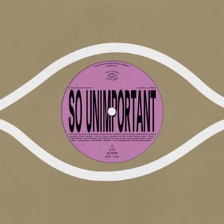So Unimportant