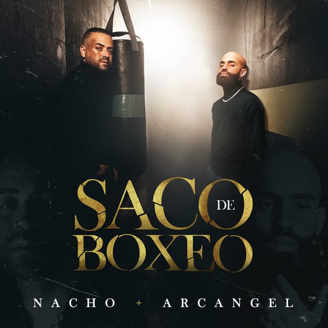 Saco de Boxeo