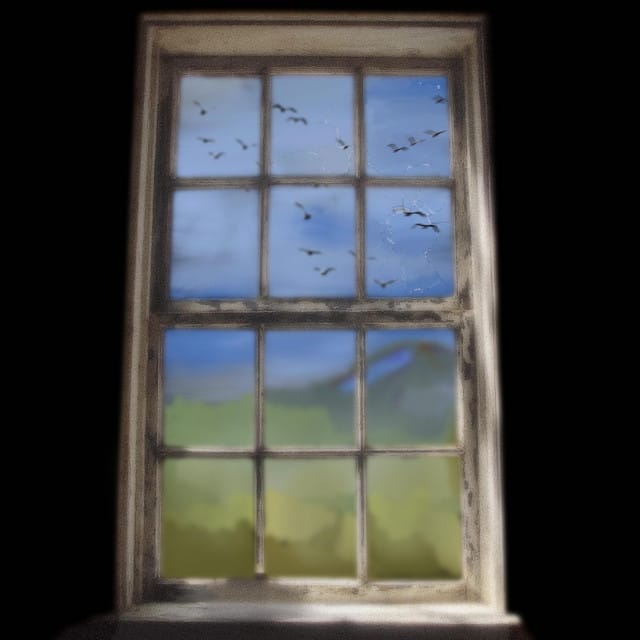 Birdz Fly Thru A Broken Sky