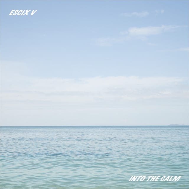 Into the Calm - Single