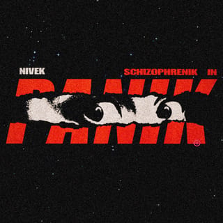 Schizophrenik in Panik - Single