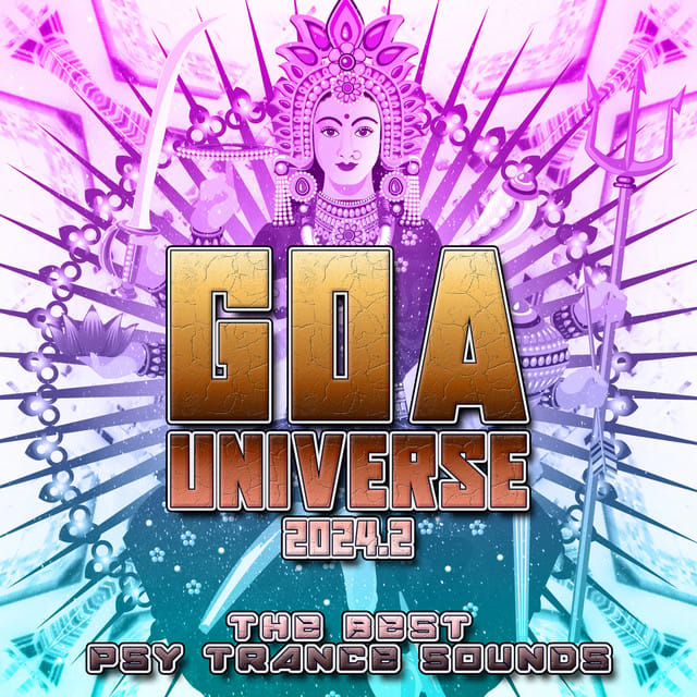 Lost in the Universe