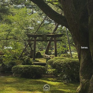 Serenity - Single