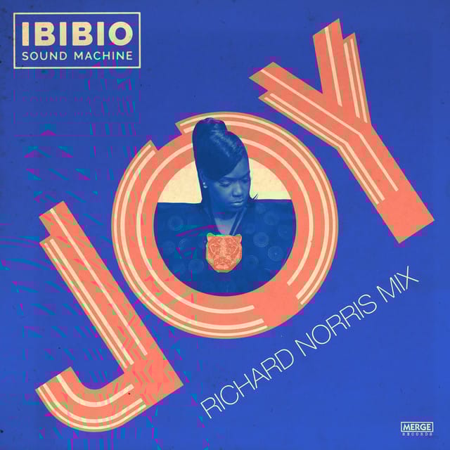 Joy (Richard Norris Mix)