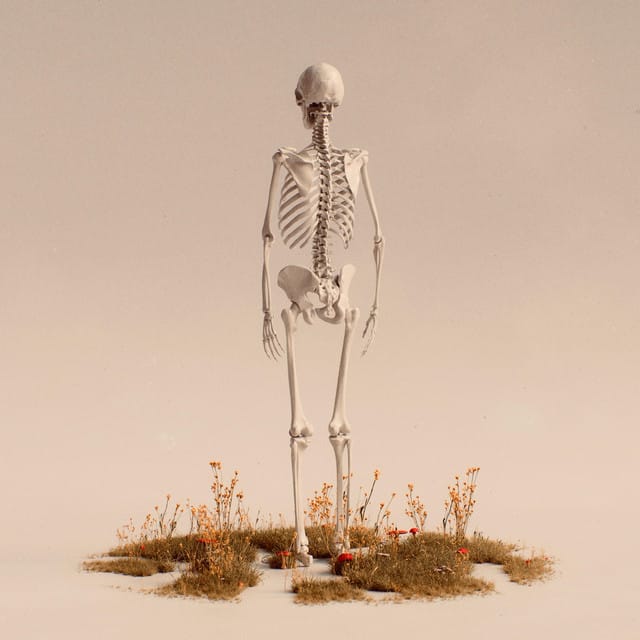 Lightweight - Single