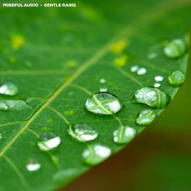 Gentle Rains