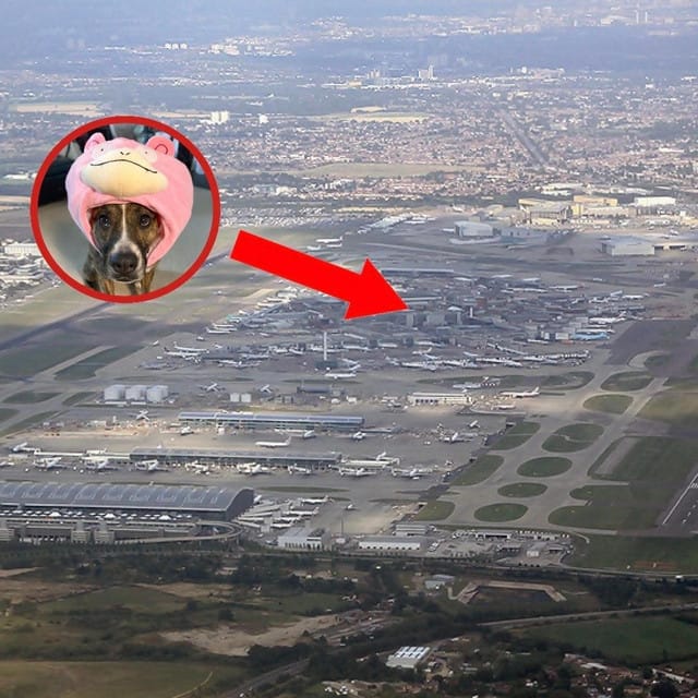 heathrow